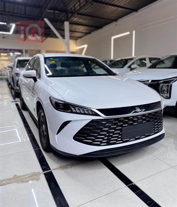 بي واي دي Qin Plus 2025 للبيع في العراق -  بغداد